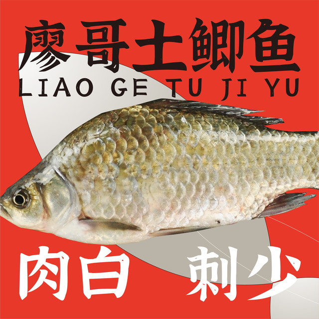 廖哥土鲫鱼，深圳设计公司，深圳餐饮设计，深圳餐饮策划，深圳餐饮vi设计